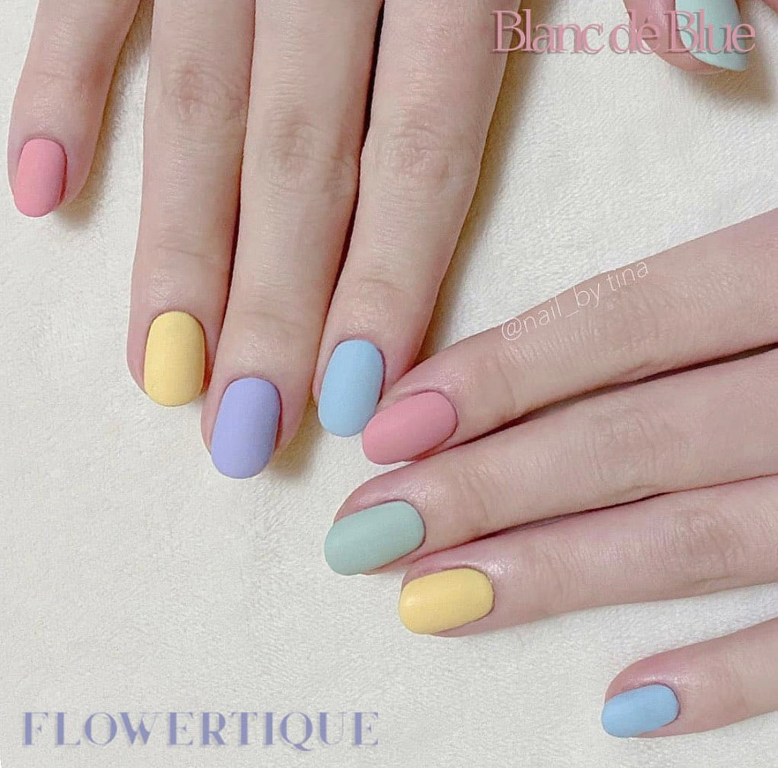 BLANC DE BLUE FLOWERTIQUE SERIES (Set of 12)